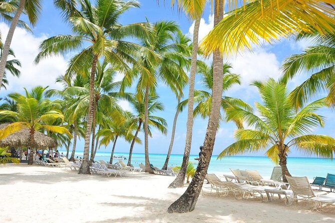 Saona Island VIP Experience – Private Boat for Up to 20 People - Punta Cana Pickup and the 7:00 am Start: How to Plan Your Morning