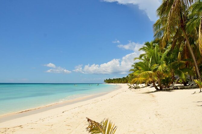 Saona Island VIP Experience – Private Boat for Up to 20 People - Price and Value: Why $2,400 Per Person Changes the Math
