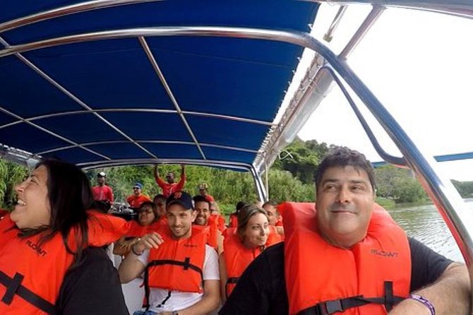Saona Island VIP Full Day All Inclusive Excursion - Key highlights before you go