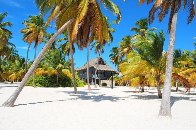 Saona Island VIP Full Day All Inclusive Excursion - Saona Island time: beach hours plus snorkeling in clear water