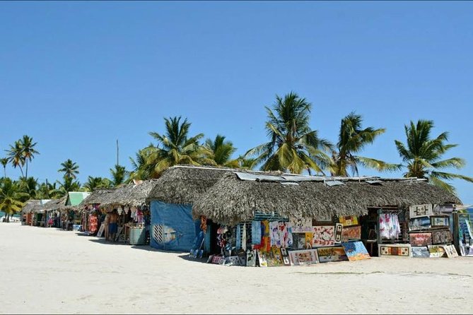 Saona Island VIP Full Day All Inclusive Excursion - Canto de la Playa: buffet lunch, drinks, and beach downtime