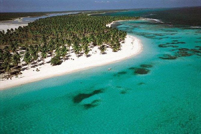 Saona Vip speedboat - Playa Toro: the beach stop that drives the whole day