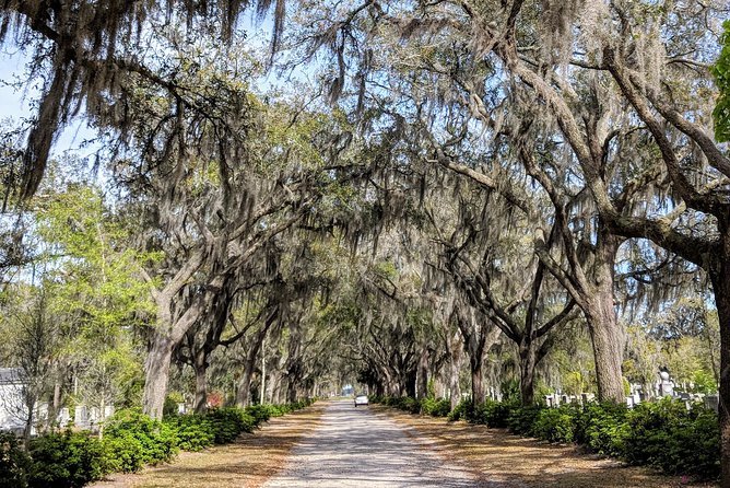 Savannah VIP Tour: Private Full-Day Tour - Savannah Historic District: squares, Victorian streets, and the Isle of Hope drive