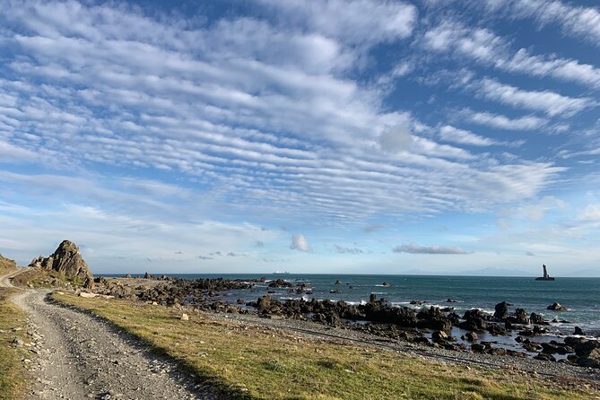 Seal Coast Safari - Exclusive access to Wellington's secret coast - Cape Terawhiti and the leaning lighthouse stop for Cook Strait photos