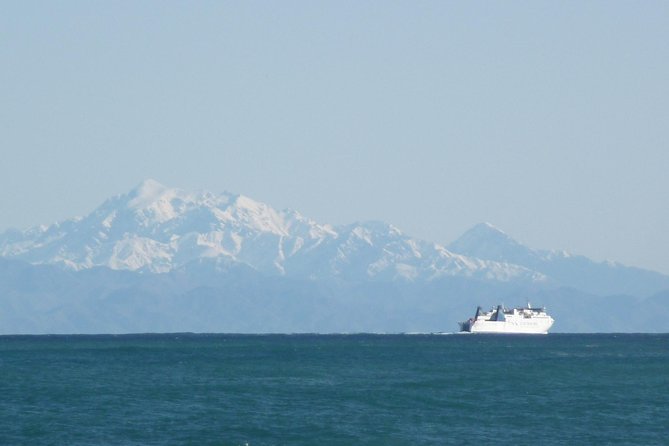 Seal Coast Safari - Exclusive access to Wellington's secret coast - Price and value: why $121.01 can pencil out for this day
