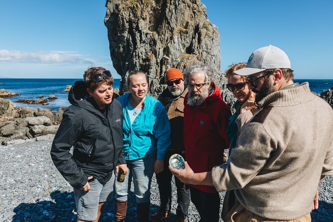 Seal Coast Safari - Exclusive access to Wellington's secret coast - Terawhiti Station drive: private farmland views from the comfort of a 4WD Mercedes
