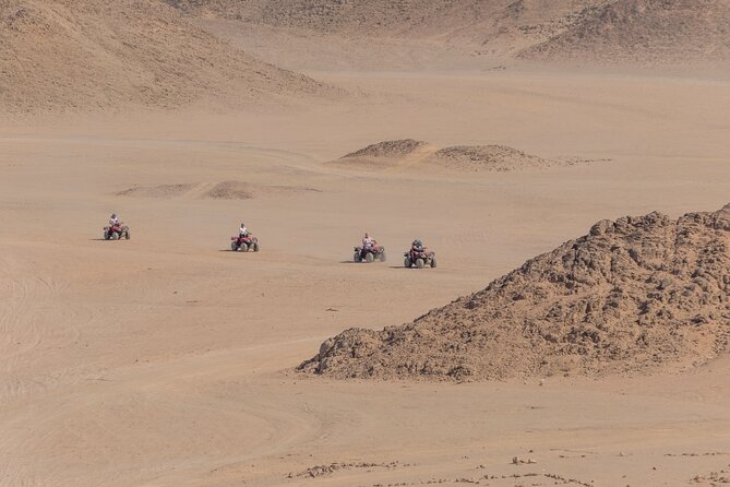 Sharm: Quad Bike or Car Buggy, Camel ride & optional VIP Bedouin Dinner & Show - Price and Value at About $22.50 Per Person