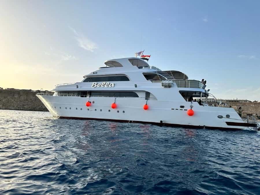 Sharm: Vip Snorkeling Cruise with international lunch - Key highlights to know before you go