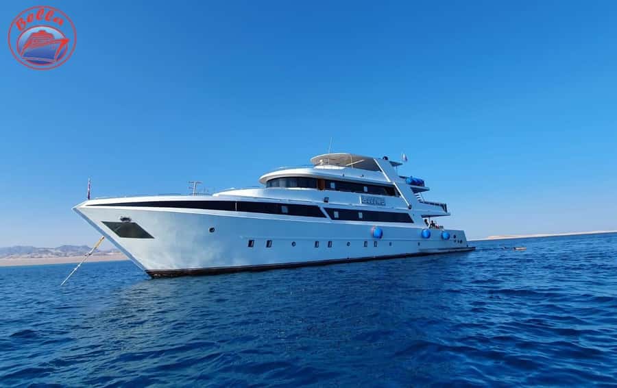 Sharm: Vip Snorkeling Cruise with international lunch - Transport and timing: why pickup matters on an 8-hour day
