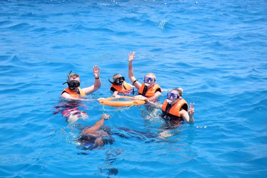 Sharm: Vip Snorkeling Cruise with international lunch - The day plan from 8:30 am: relaxing cruise time included