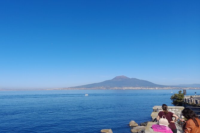 Skip-The-Line Tickets VIP Small Group Tour To Pompei and Vesuvius - Vesuvius National Park and the volcanologist-guided walk