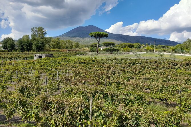 Skip-The-Line Tickets VIP Small Group Tour To Pompei and Vesuvius - The views from the top: Bay of Naples drama, without the hassle