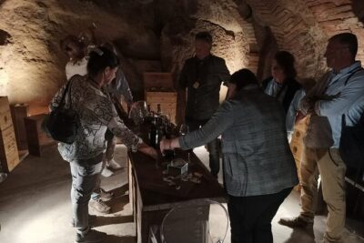 Small group Chianti Classico & Brunello wine region from Siena - Castellina in Chianti: organic winery time with Medieval cellars