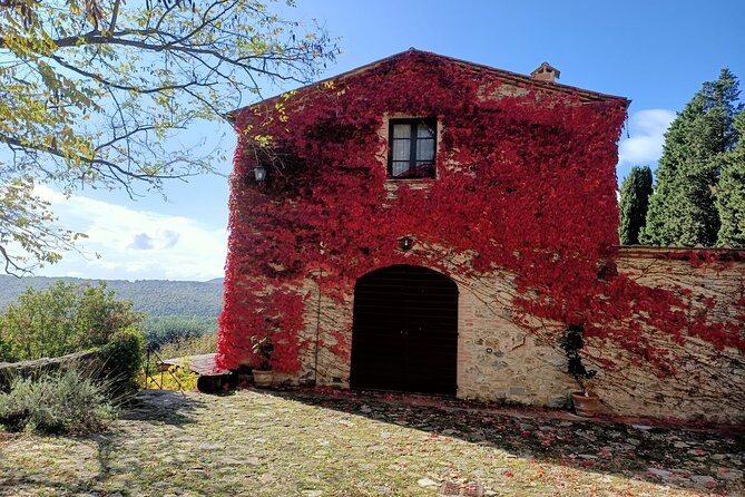 Small group Chianti Classico & Brunello wine region from Siena - Optional swap: Brunello tasting at a second boutique winery