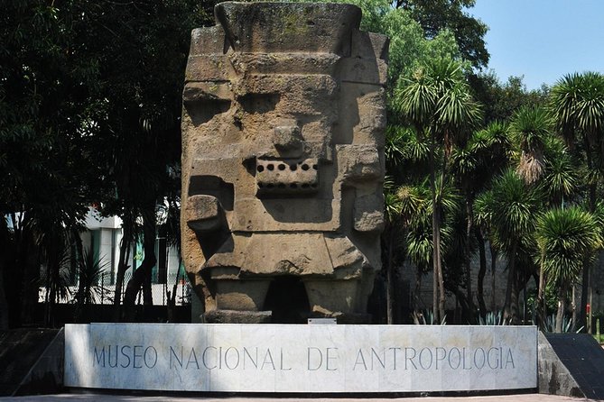Small VIP Group: The Ultimate Mexico City Tour - Comfort, language, and what the small vehicle really means