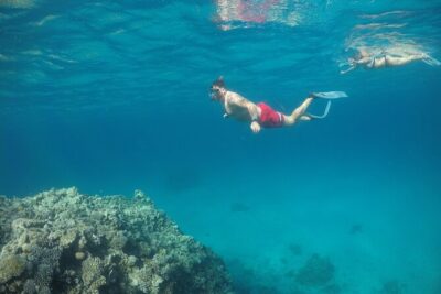 Snorkeling and Diving to Ras Mohamed And White Island by VIP Boat - Your first water stop: snorkeling in Ras Mohamed National Park