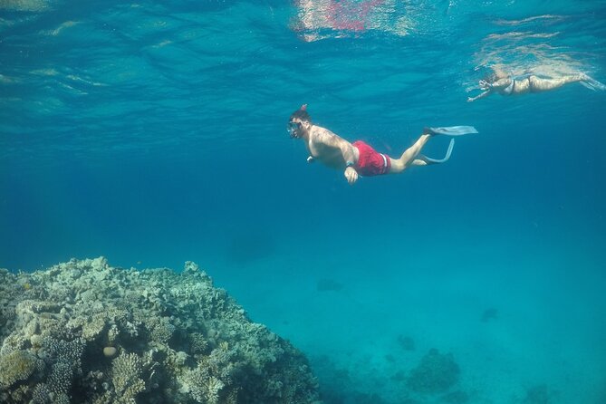 Snorkeling and Diving to Ras Mohamed And White Island by VIP Boat - Your first water stop: snorkeling in Ras Mohamed National Park