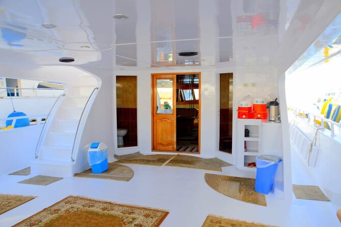 Snorkeling Day Trip To White Island And Ras Mohammed By VIP Boat - Key highlights I’d book for
