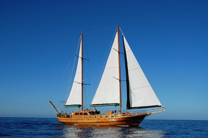 South Fuerteventura VIP Cruise on board a Turkish Gulet - Key highlights to know before you go
