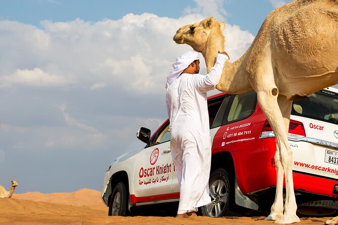 Sunset Camel Trekking with Falcon Show & VIP BBQ Dinner - Key Things I’d Put on Your Must-Do List