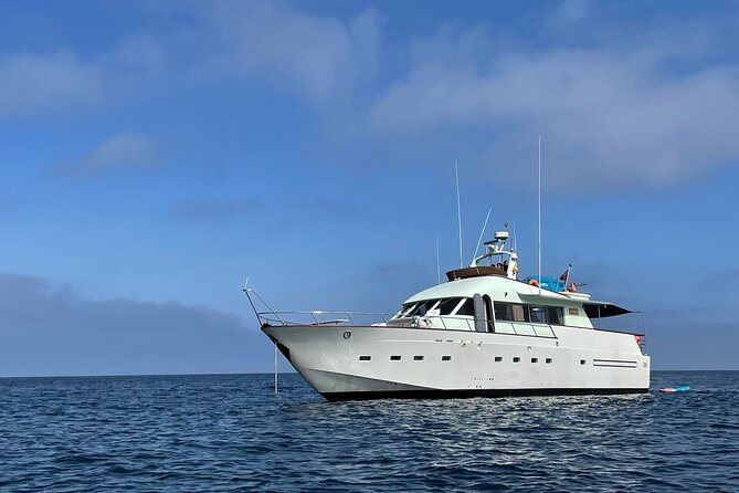 Sunset Cruise Lisbon | VIP Yacht Lisbon Party - Price and value for a group up to 15