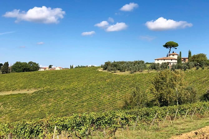 Sunset VIP Chianti wine tour - Stop 1: La Castellina and the Squarcialupi family story in the vines