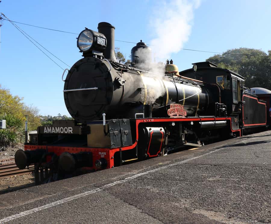 Sunshine Coast: VIP Booth Shared Mary Valley Rattler - Key highlights to look for