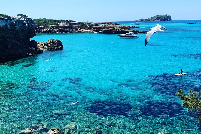 SUP Adventure Ibiza (stand up paddle & snorkeling) VIP TOUR - Price and Value: Is $106.65 Worth It?