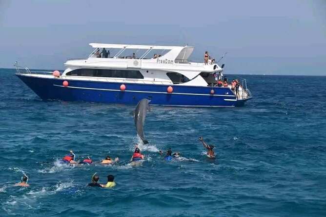 Swim with Dolphins VIP snorkeling Boat Trip with lunch - Hurghada - The boat day routine: water sports, lunch buffet, and staying comfortable