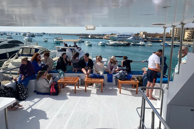 Swim with Dolphins VIP snorkeling Boat Trip with lunch - Hurghada - More than dolphins: turtles, reef fish, and birdlife you might spot
