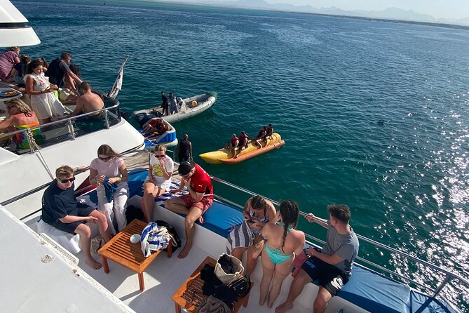 Swim with Dolphins VIP snorkeling Boat Trip with lunch - Hurghada - Who should book—and who should be cautious