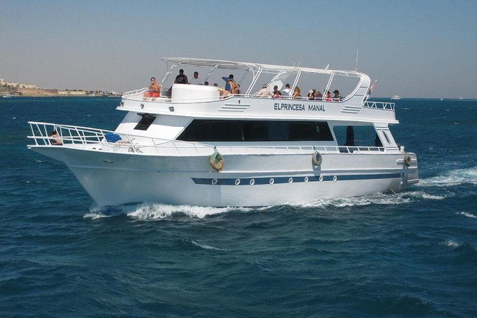 Swimming with Dolphin VIP Snorkeling Sea Trip With Lunch and Transfer - Hurghada - Orange Bay and Extra Cash: Plan for the Day Fees