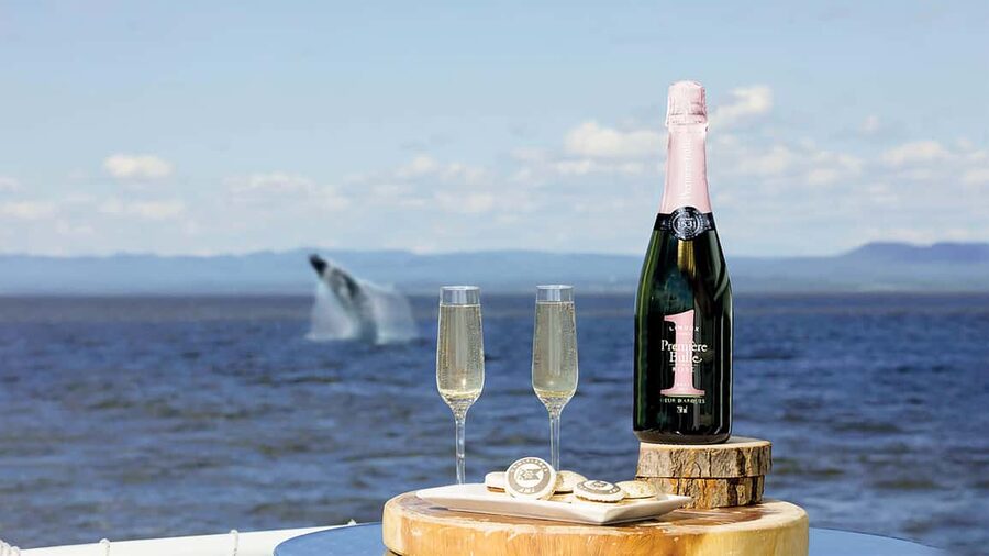 Tadoussac/Charlevoix: VIP Lounge OR UpperDeck Whale Watching - The 3-hour route: what you’ll see between Tadoussac and the marine park