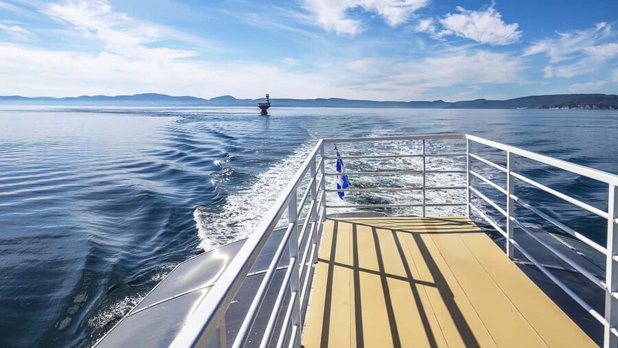 Tadoussac/Charlevoix: VIP Lounge OR UpperDeck Whale Watching - The ethics and conservation approach you want for a whale day