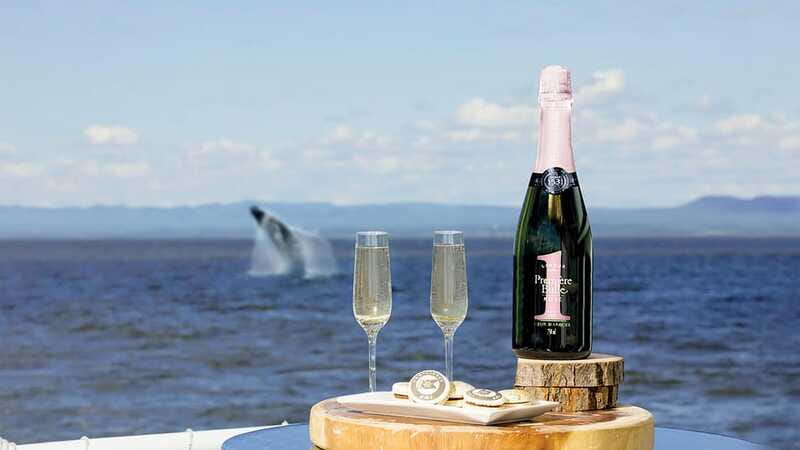 Tadoussac/Charlevoix: VIP Lounge OR UpperDeck Whale Watching - Price and value: what $160 buys you in the real world