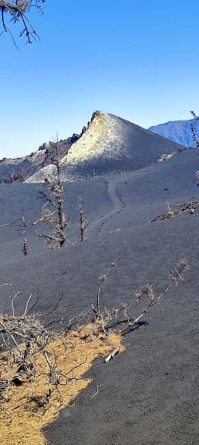 Tajogaite Volcano VIP Experience: Private Tour with a Certified Guide - Key Things That Make This Tour Worth Your Time