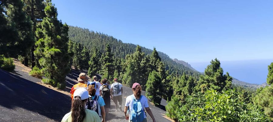 Tajogaite Volcano VIP Experience: Private Tour with a Certified Guide - Price and Value: $352 for Up to 3 People