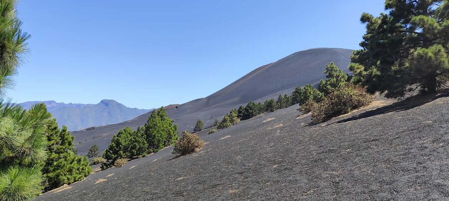 Tajogaite Volcano VIP Experience: Private Tour with a Certified Guide - Private Transfer and Small Comforts That Matter More Than You Think