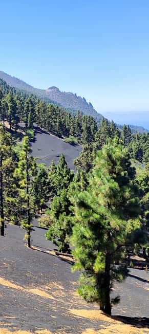 Tajogaite Volcano VIP Experience: Private Tour with a Certified Guide - The Drone Souvenir: Worth It, But Weather Is Real