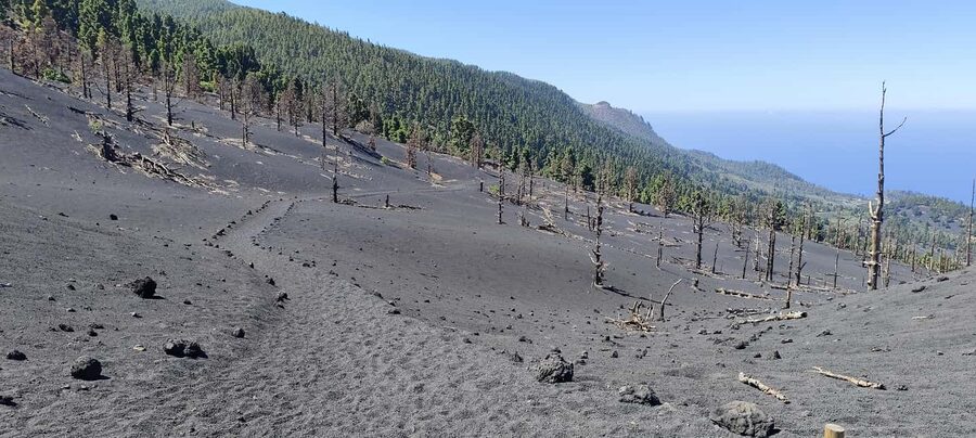 Tajogaite Volcano VIP Experience: Private Tour with a Certified Guide - Accessibility: Joëlette Chair Available With Advance Notice