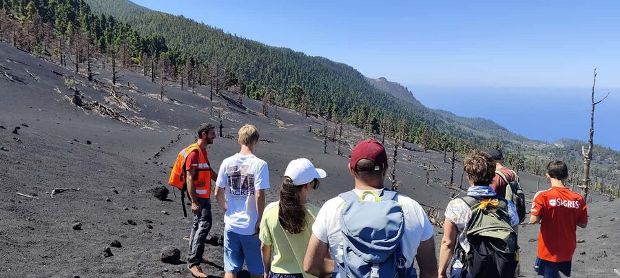 Tajogaite Volcano VIP Experience: Private Tour with a Certified Guide - Who This Tour Fits Best (And Who Should Rethink It)