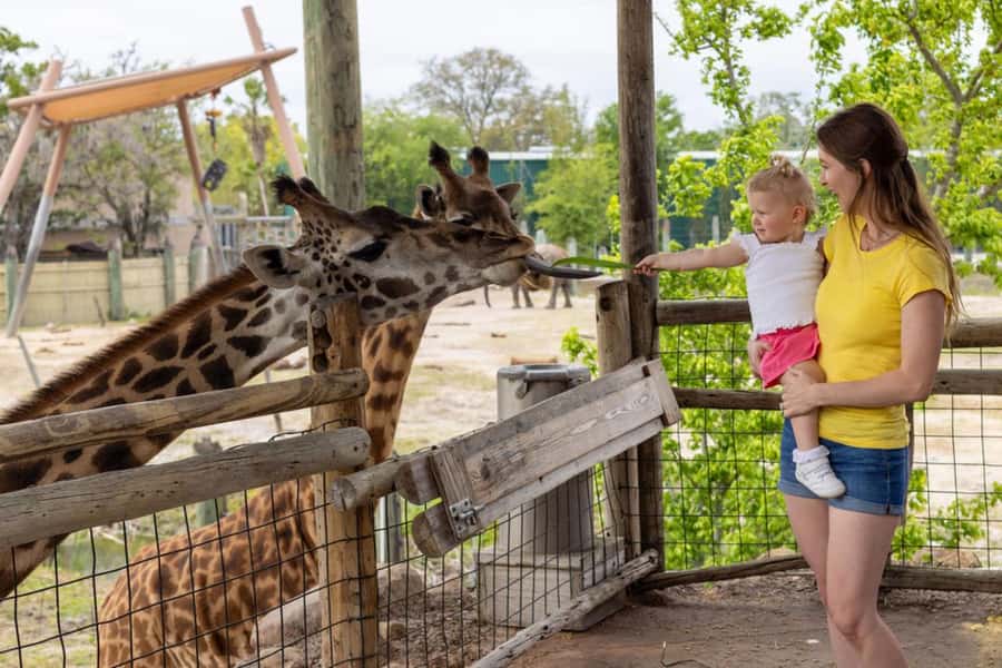 Tampa: ZooTampa at Lowry Park Ticket with After Hours Option - ZooTampa at Lowry Park: a zoo that feels like a living classroom