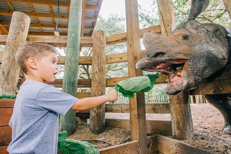 Tampa: ZooTampa at Lowry Park Ticket with After Hours Option - What your $30 ticket buys (and what it doesn’t)