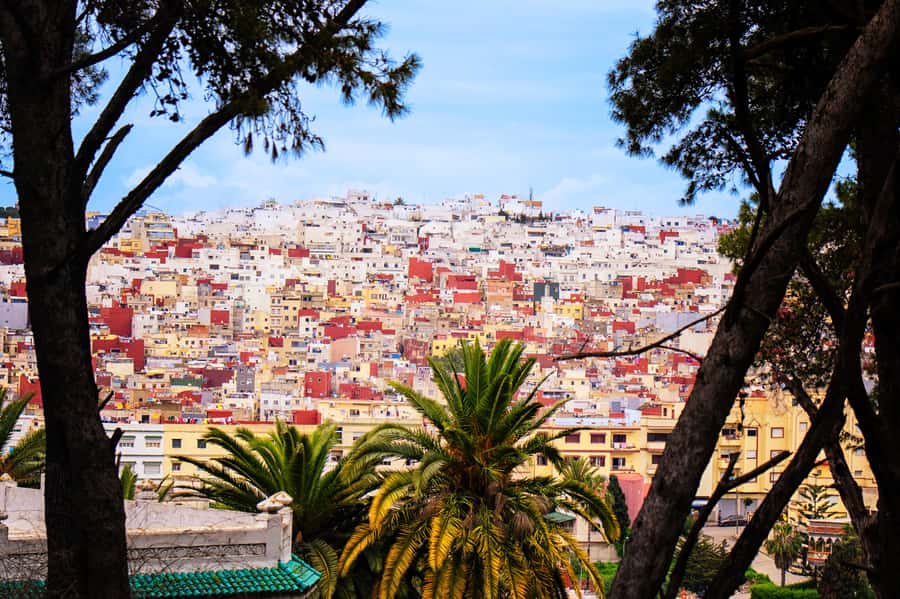 Tarifa: Day trip to Tangier by ferry with exclusive VIP service - Moroccan food: traditional lunch plus a food tasting stop