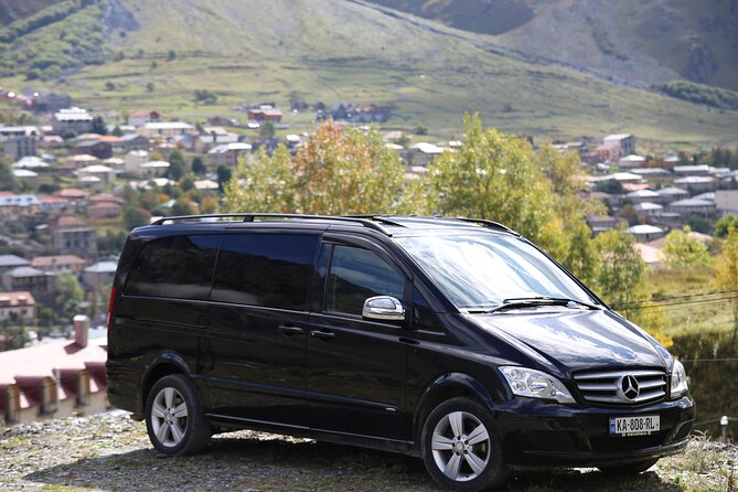 Tbilisi to Batumi, or vice versa - Private Transfer - The driver experience: patient, communicative, and on time