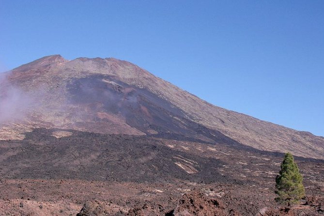 Teide essential Shore Excursion VIP TOUR - Plaza del Adelantado and UNESCO La Laguna in 45 minutes