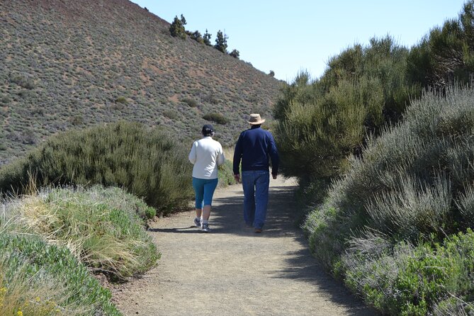 TEIDE: VIP tour - Stop 6: Teide National Park—UNESCO time, tailored stops, and optional walks