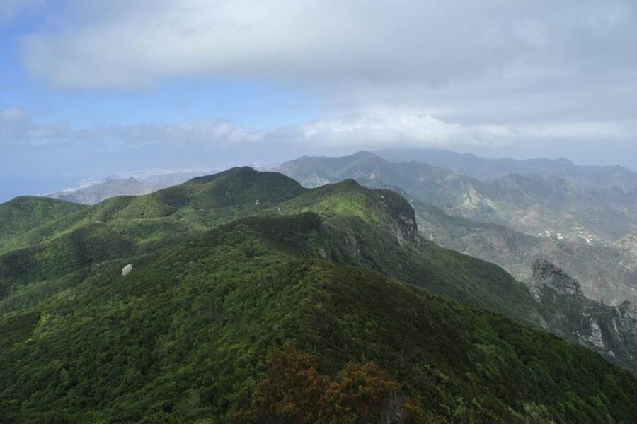 Tenerife: Anaga UNESCO VIP TOUR - Santa Cruz to Anaga: the smart way to see Tenerife’s “two faces”