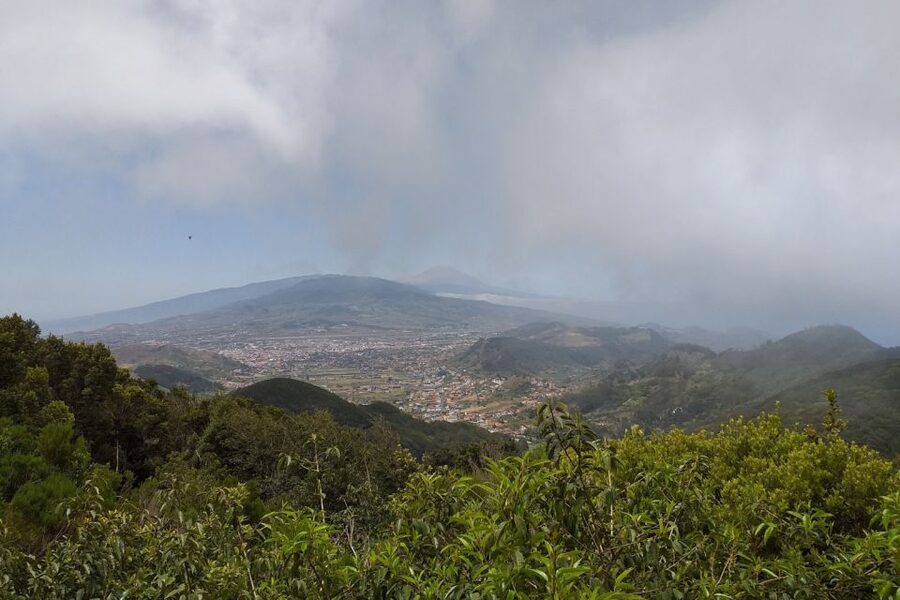 Tenerife: Anaga UNESCO VIP TOUR - Barraquito coffee: the quick taste stop that still feels local