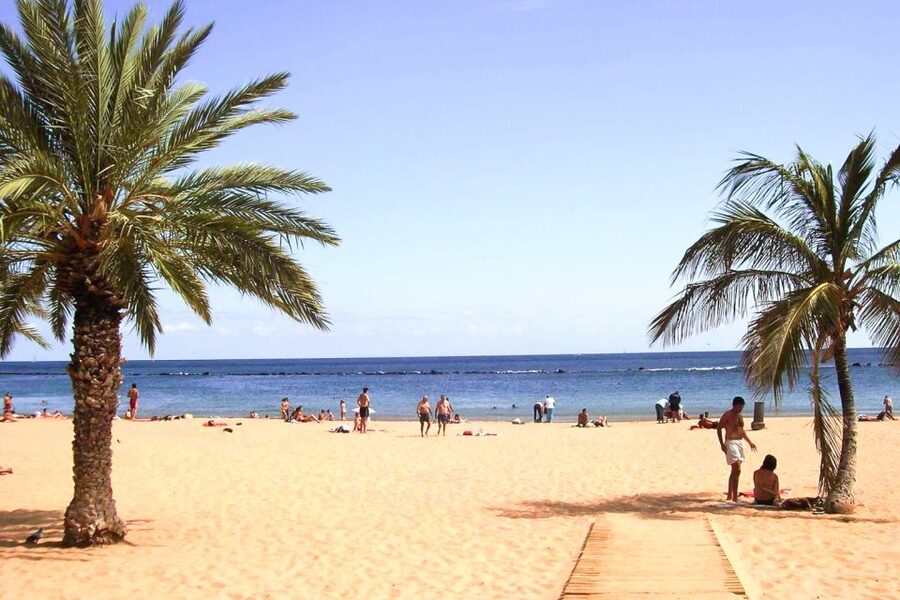 Tenerife: Anaga UNESCO VIP TOUR - Anaga UNESCO Biosphere reserve: what to expect from the laurel forest experience
